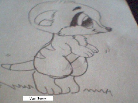 van: joery
