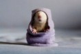/album/schattige-dieren/schattige-dieren-voor-dierendag-05-jpg/