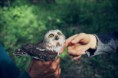 /album/schattige-dieren/schattige-dieren-voor-dierendag-14-jpg/